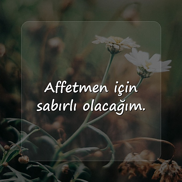 özür mesajları	 - 11
