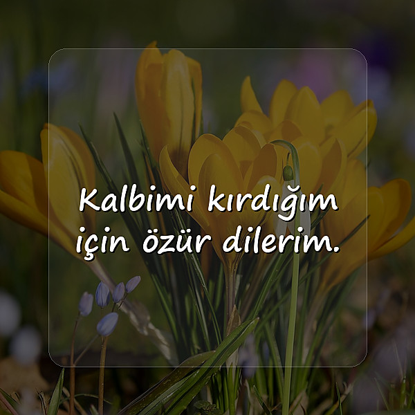 özür mesajları	 - 7