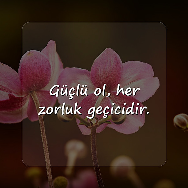 pozitif sözler - 1
