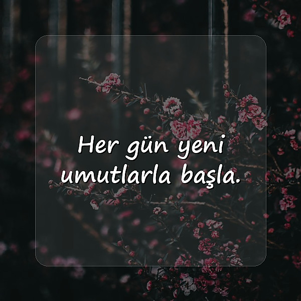 pozitif sözler - 11