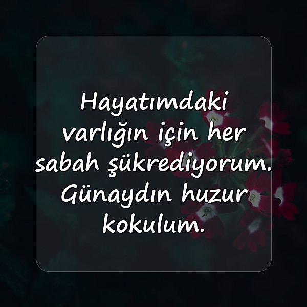 romantik günaydın mesajları - 2