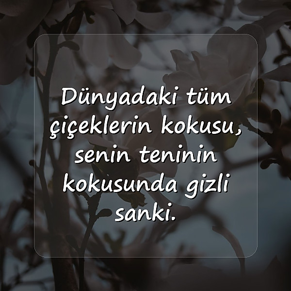 romantik sözler - 3