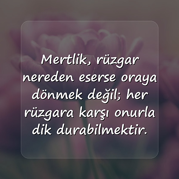 şerefsizlere sözler - 6