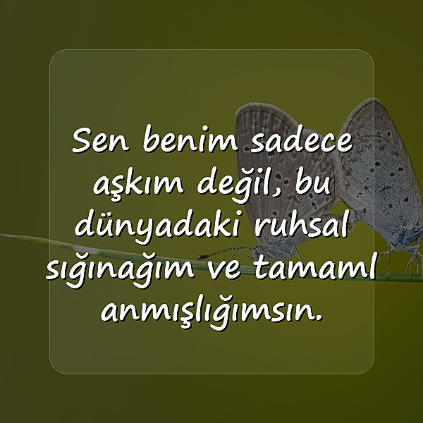 sevdiğine güzel sözler - 5