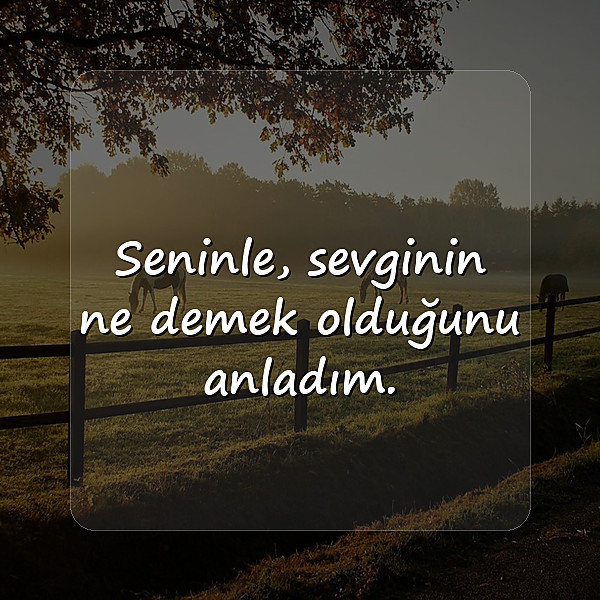 sevgi ile ilgili sözler - 1