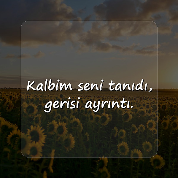 sevgi ile ilgili sözler - 22