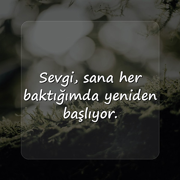 sevgi ile ilgili sözler - 6