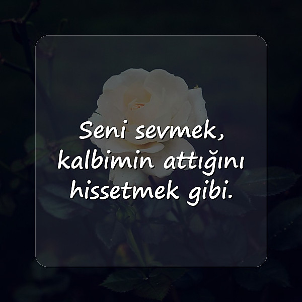 sevgiliye aşk sözleri - 24