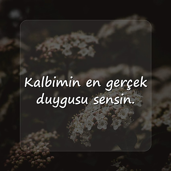 sevgiliye aşk sözleri - 25