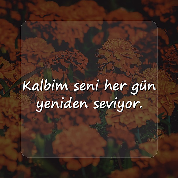 sevgiliye aşk sözleri - 17