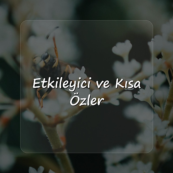 sevgiliye güzel sözler - 7