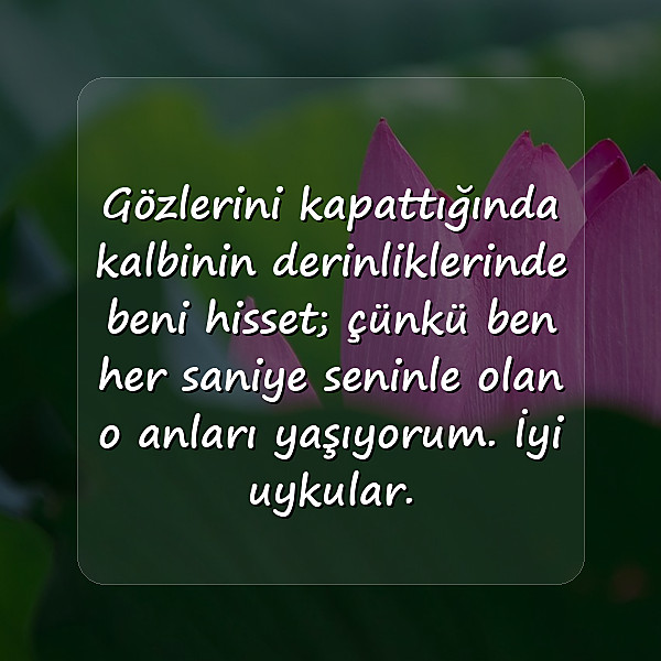 sevgiliye iyi geceler mesajları - 5