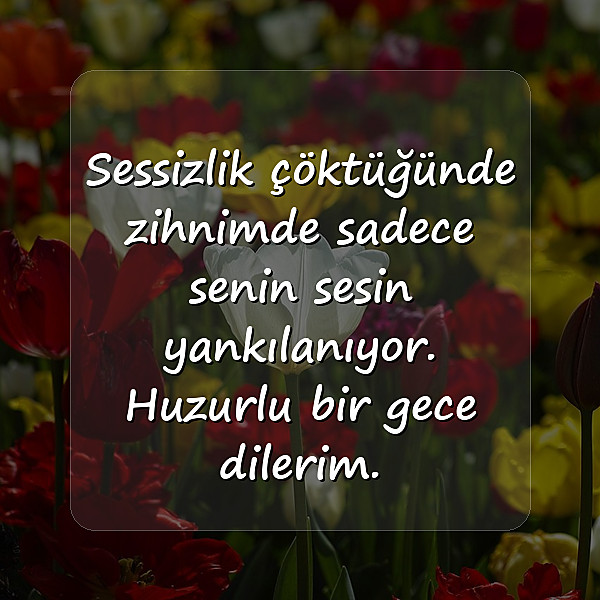 sevgiliye iyi geceler mesajları - 1