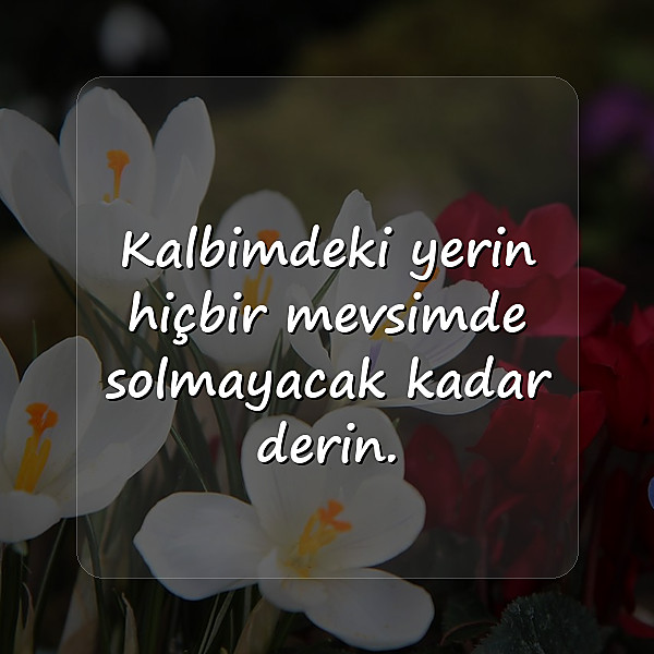 sevgiliye ömürlük sözler kısa - 6