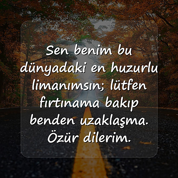 sevgiliye özür mesajı - 1
