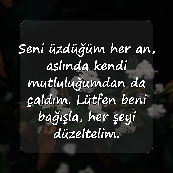 sevgiliye özür mesajı - 22