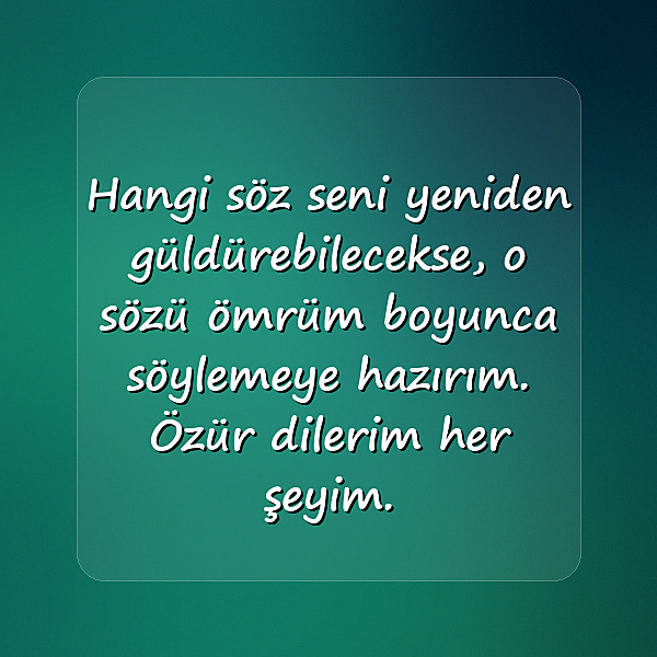 sevgiliye özür mesajı - 18