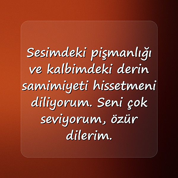 sevgiliye özür mesajı - 14