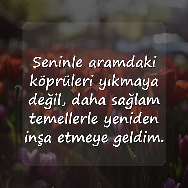 sevgiliye özür mesajı - 6