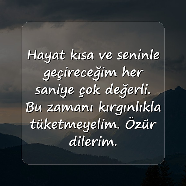 sevgiliye özür mesajı - 2