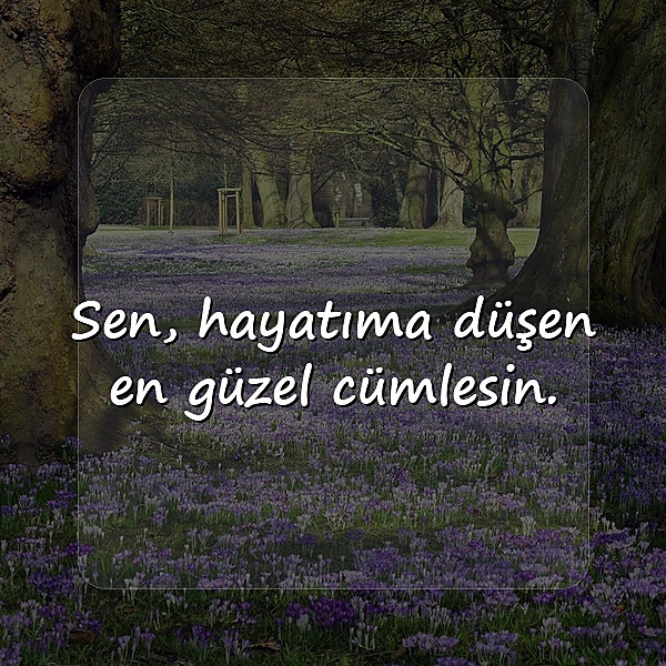 sevgiliye romantik mesajlar - 2