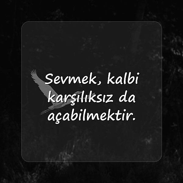 sevmek ile ilgili sözler - 11