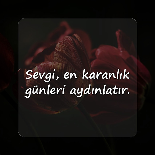 sevmek ile ilgili sözler - 7