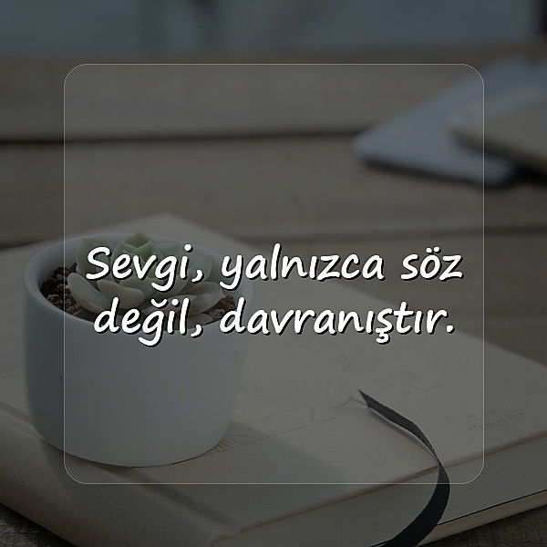 sevmek ile ilgili sözler - 12