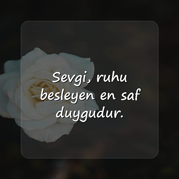 sevmek ile ilgili sözler - 4