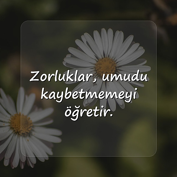 umut ile ilgili sözler - 15
