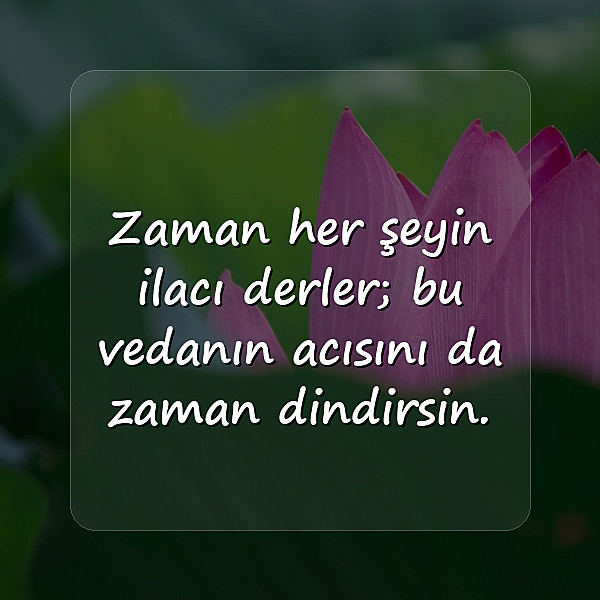 veda sözleri - 11