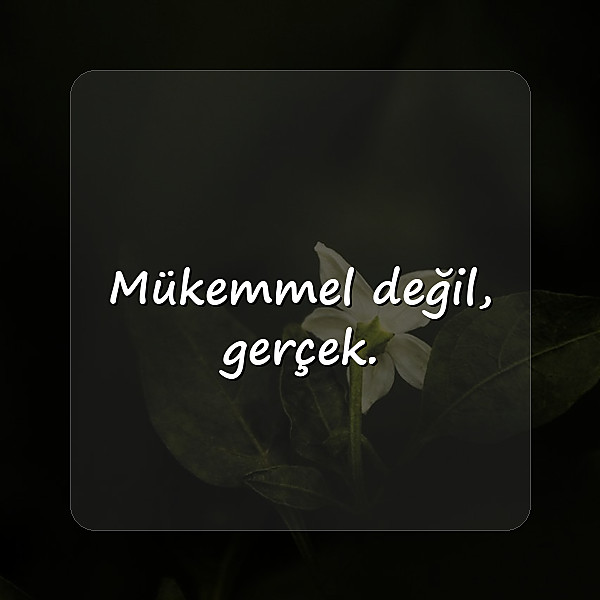 whatsapp biyografi sözleri - 1