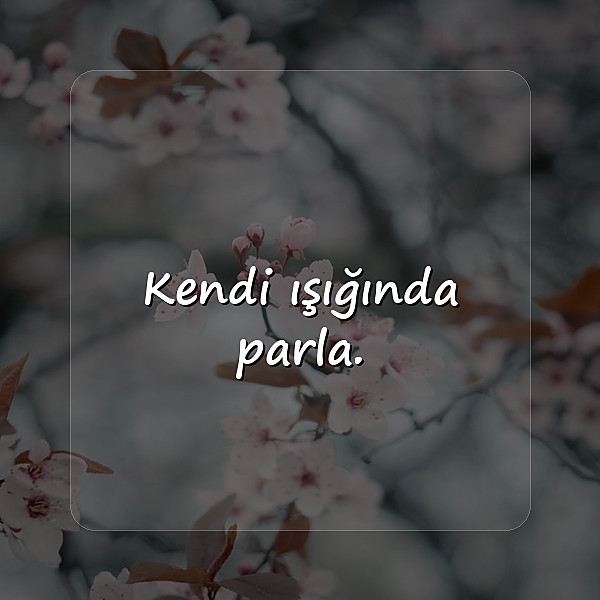 whatsapp biyografi sözleri - 22