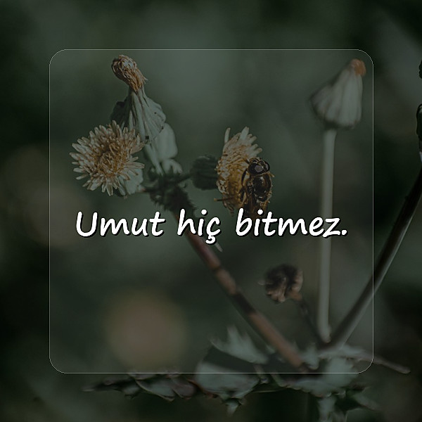 whatsapp biyografi sözleri - 6