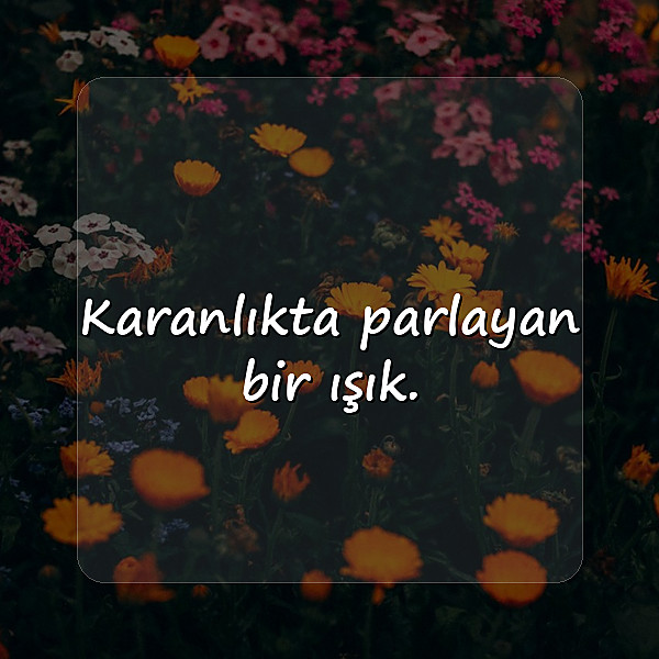 whatsapp biyografi sözleri - 2