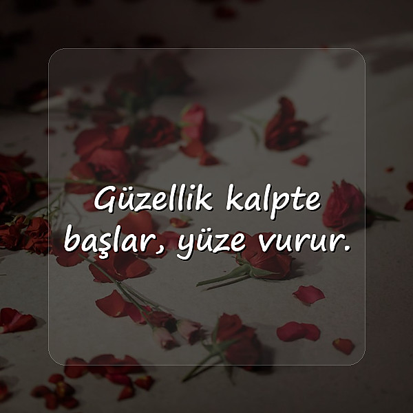 whatsapp sözleri - 6
