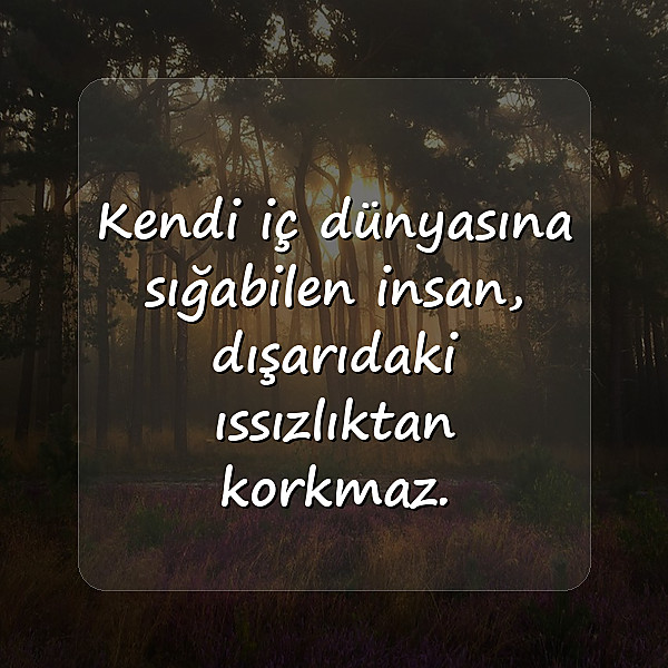yalnızlık ile ilgili sözler - 22