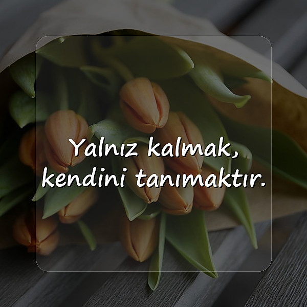 yalnızlıkla ilgili sözler - 6