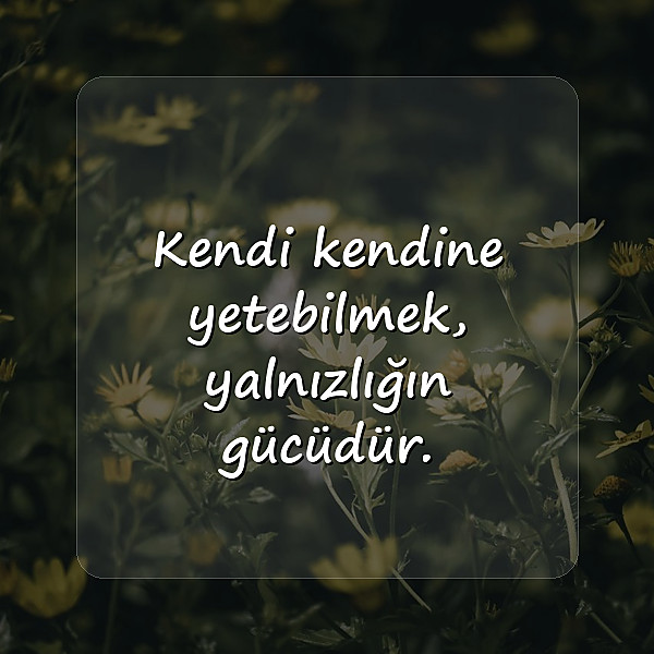 yalnızlıkla ilgili sözler - 2