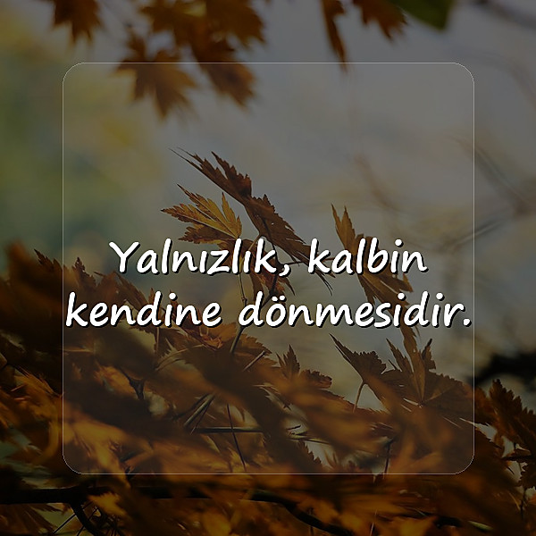 yalnızlıkla ilgili sözler - 3