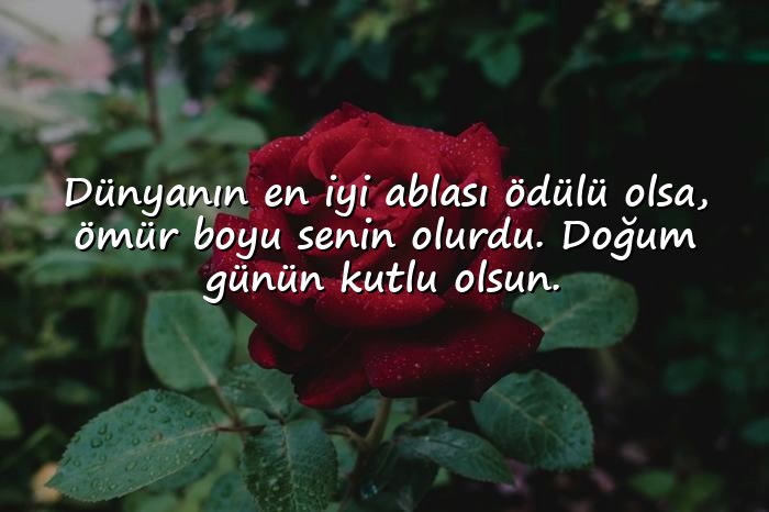 resimli ablaya doğum günü sözleri - 11