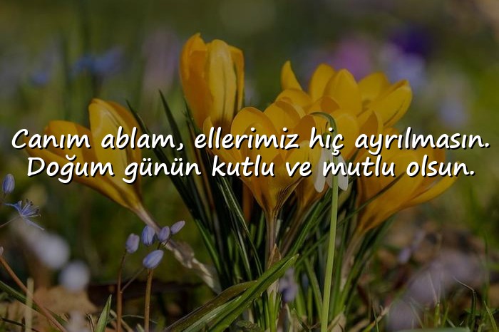 resimli ablaya doğum günü sözleri - 1