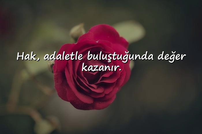 resimli adalet ile ilgili sözler - 6