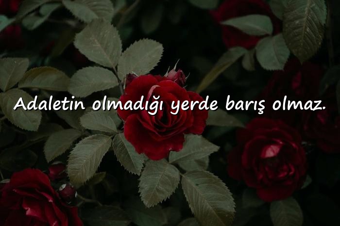 resimli adalet ile ilgili sözler - 1