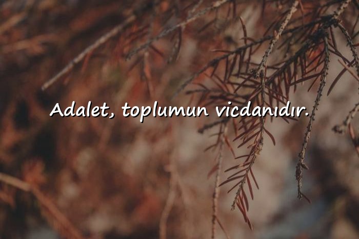 resimli adalet ile ilgili sözler - 16