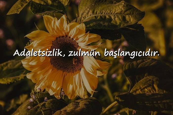 resimli adalet ile ilgili sözler - 11