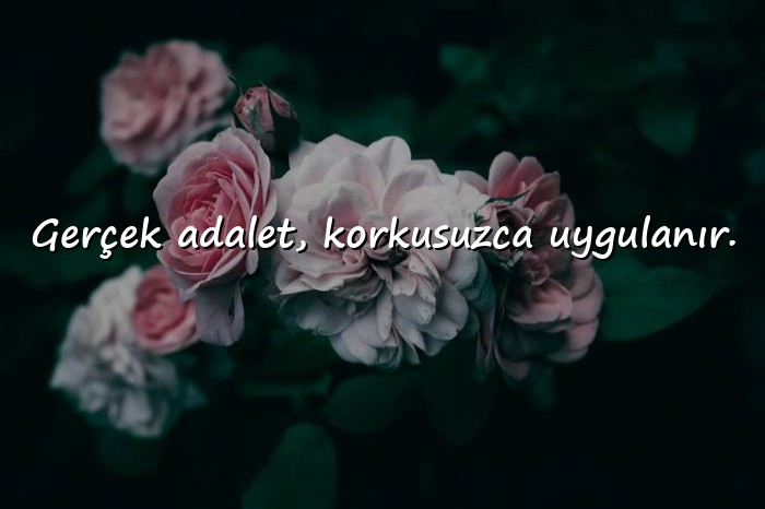 resimli adalet ile ilgili sözler - 6
