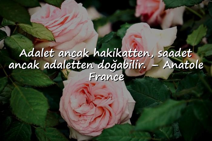 resimli adalet sözleri - 21