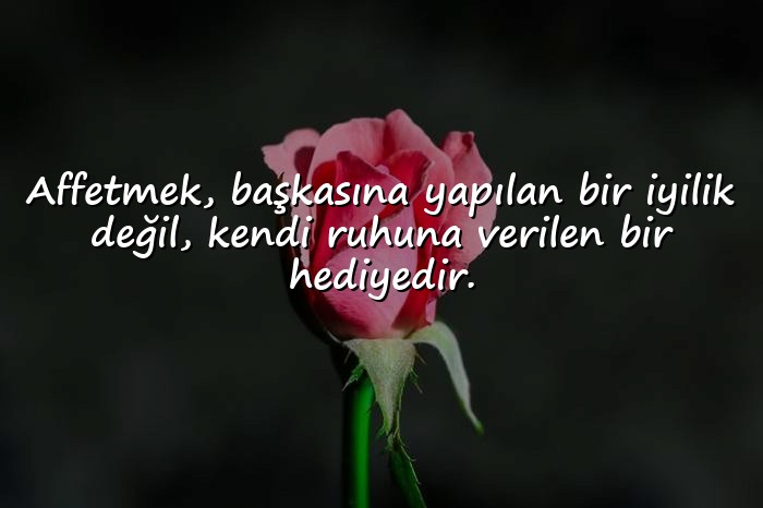 resimli affetmek ile ilgili sözler - 1