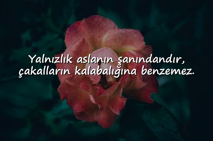 resimli ağır abi sözleri - 17